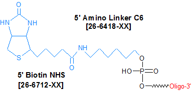 picture of Biotin NHS