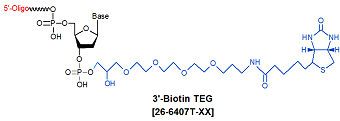picture of Biotin TEG (15 atom triethylene glycol spacer) 3'