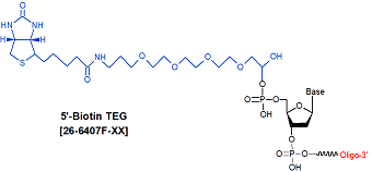 picture of Biotin TEG (15 atom triethylene glycol spacer) 5'