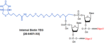 picture of Biotin TEG (15 atom triethylene glycol spacer) Internal