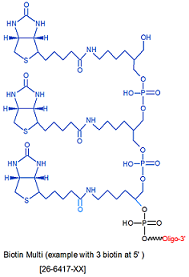 picture of Biotin Multi