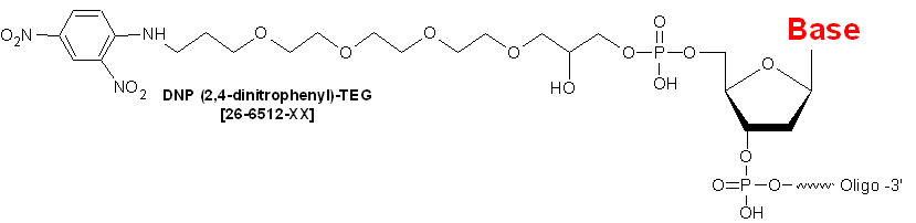 dnp-free-vector-4vector