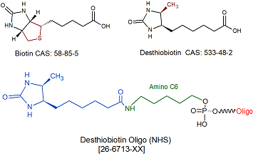 picture of Desthiobiotin NHS