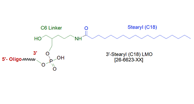 picture of Stearyl C18 LMO LMO 3'