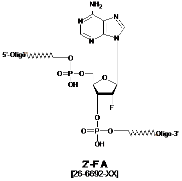 2'-F A Oligonucleotide