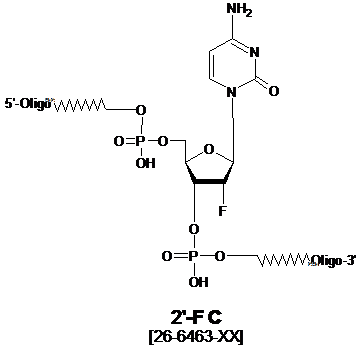 2'-F C Oligonucleotide