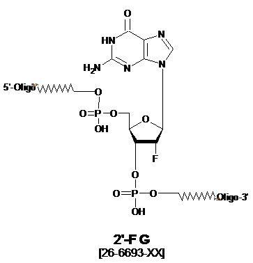 2'-F G Oligonucleotide