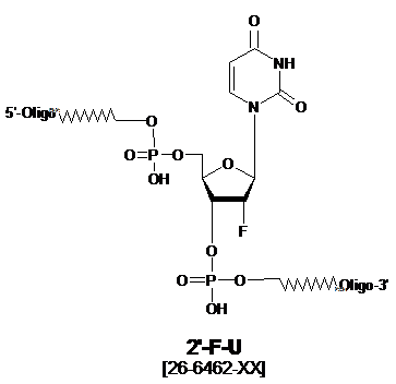 2'-F U Oligonucleotide