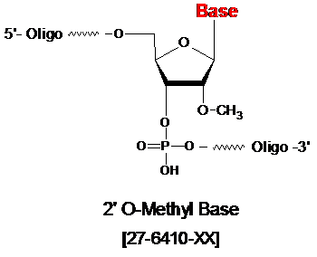2'0-methyl base