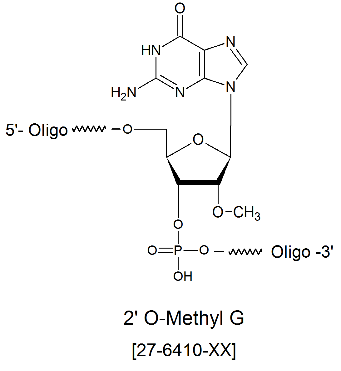 2'0 methyl g sirna