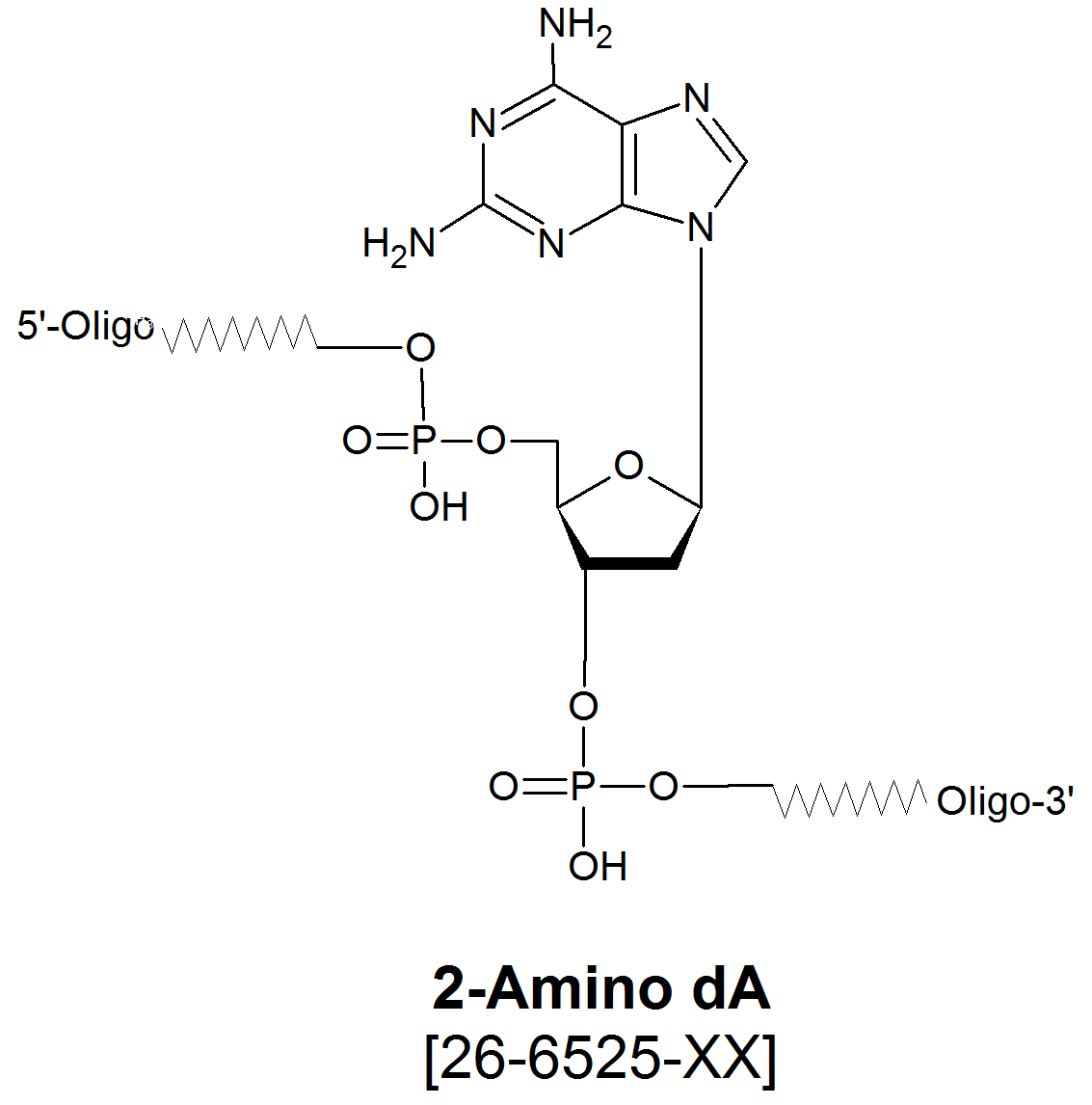 2-Amino dA sirna