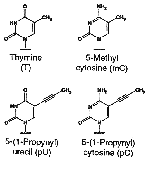 propyne analogs