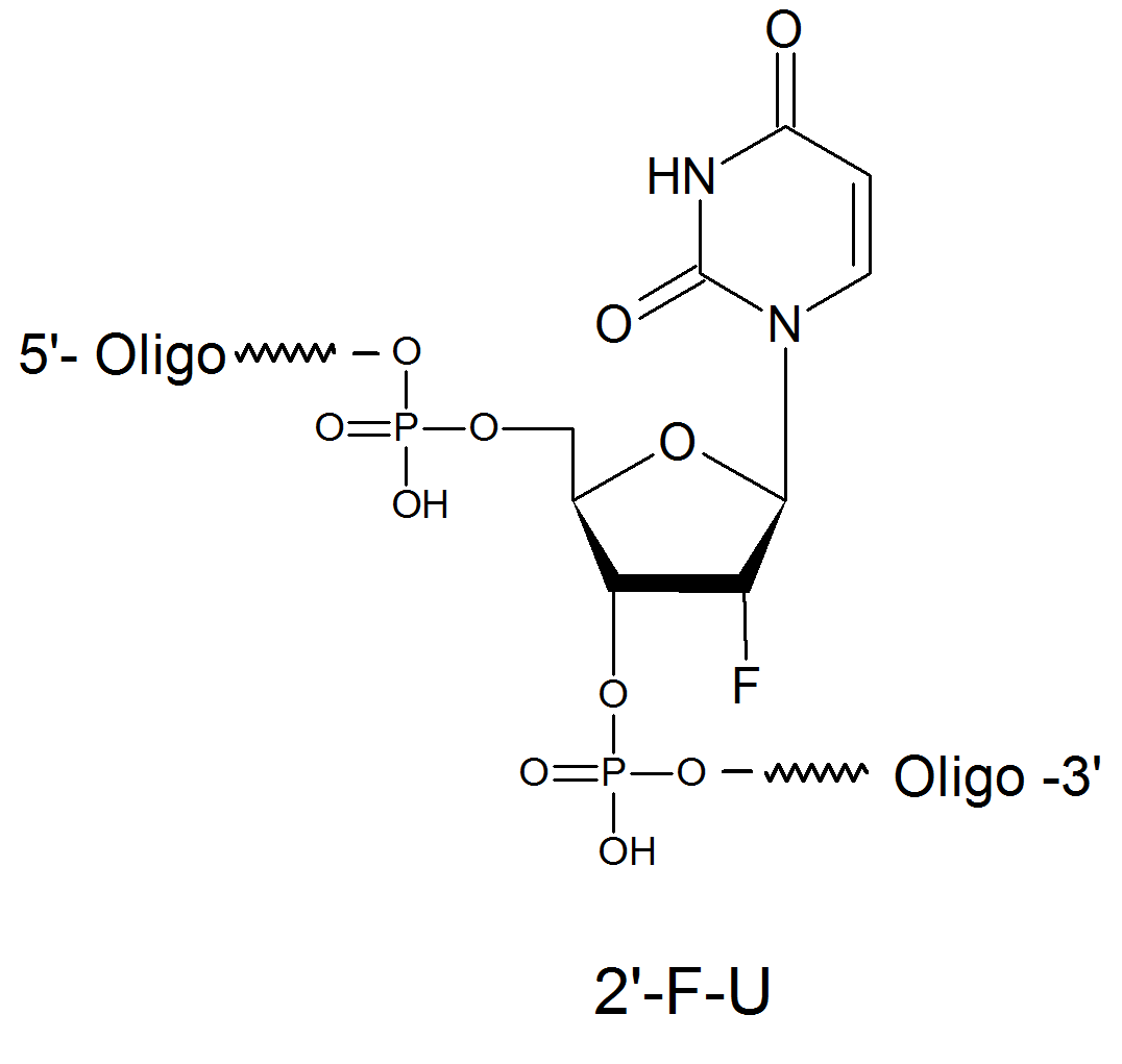 propyne analogs sirna