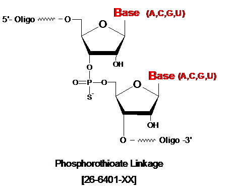 rna phosphorothioate linkage