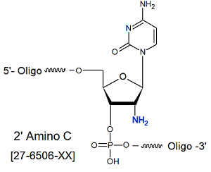 picture of 2'-Amino-C