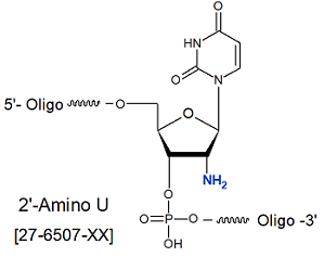 picture of 2'-Amino-U