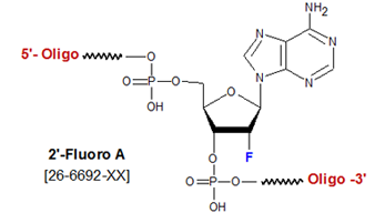 picture of 2'-Fluoro deoxyadenosine (2'-F-A)