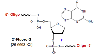 picture of 2'-Fluoro deoxyguanosine (2'-F-G)