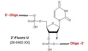 picture of 2'-Fluoro deoxyuridine (2'-F-U)