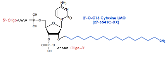picture of 2'-O-C16 Cytidine LMO: 2'-O-hexadecyl (C16)