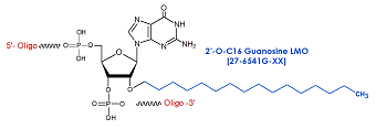 picture of 2'-O-C16 Guanosine LMO: 2'-O-hexadecyl (C16)