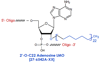 picture of 2'-O-C22 Adenosine siRNA LMO: 2'-O-docosyl (C22)