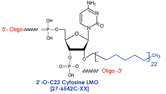 picture of 2'-O-C22 Cytidine siRNA LMO: 2'-O-docosyl (C22)