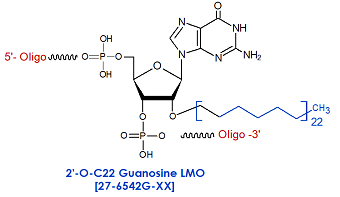 picture of 2'-O-C22 Guanosine siRNA LMO: 2'-O-docosyl (C22)