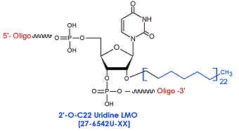 picture of 2'-O-C22 Uridine siRNA LMO: 2'-O-docosyl (C22)