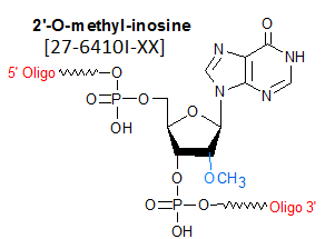 picture of 2'-O methyl Inosine
