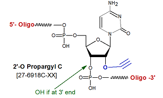 picture of 2'-O-propargyl/Alkyne C