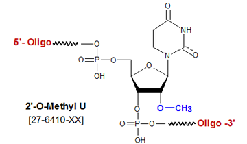 picture of 2'-O methyl uridine U