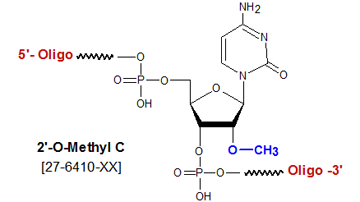 picture of 2'-O methyl cytosine C