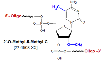 picture of 2'-O Me-5-Me-C