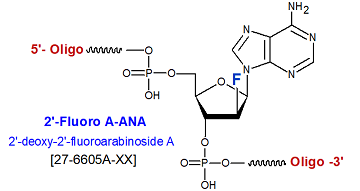 picture of 2'-fluoroarabinoside-A (FANA-A)