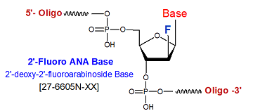 picture of 2'-fluoroarabinoside-Base (FANA-N)