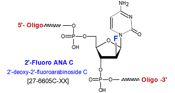 picture of 2'-fluoroarabinoside-C (FANA-C)