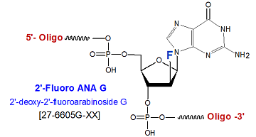 picture of 2'-fluoroarabinoside-G (FANA-G)