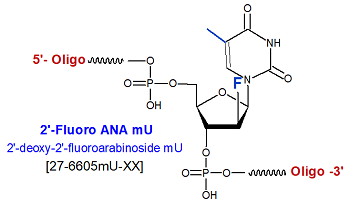 picture of 2'-fluoroarabinoside-mU (FANA-mU)