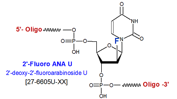 picture of 2'-fluoroarabinoside-U (FANA-U)