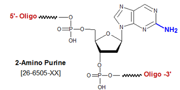 picture of 2-Amino Purine deoxyribose