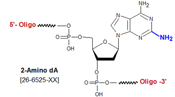 picture of 2-Amino dA