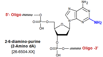 picture of 2-6-diaminopurine (2-Amino dA)