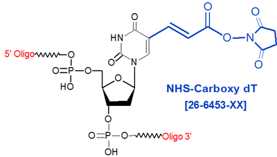 picture of NHS-Carboxy-dT