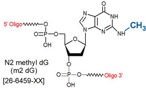 picture of N2-Methyl dG (m2dG)