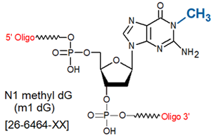 picture of N1-Methyl dG (m1dG)