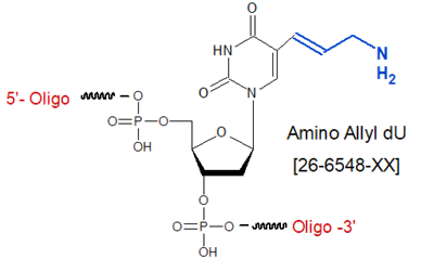 picture of Aminoallyl dU 