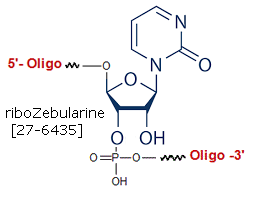 picture of rZebularine