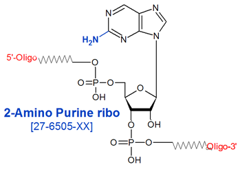 picture of 2-Amino Purine ribose