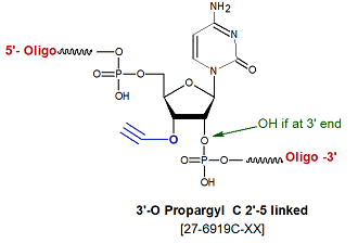 picture of 3'-O-propargyl/Alkyne C 2'-5' linked
